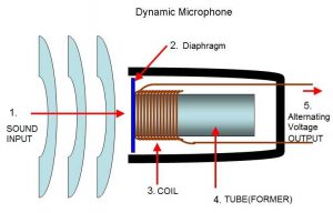Capacitor microphone
