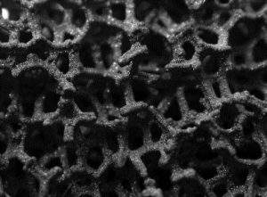Microstructure of the porous tantalum material